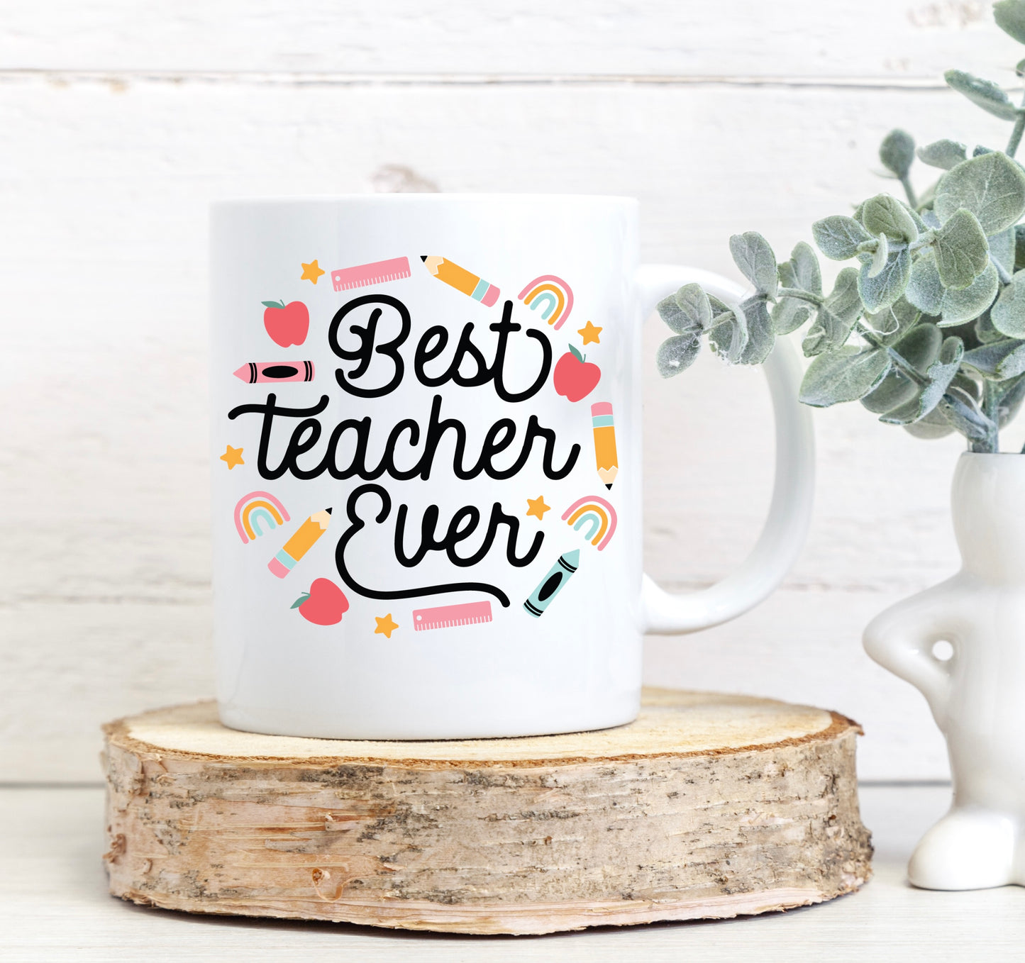 Best teacher ever mug