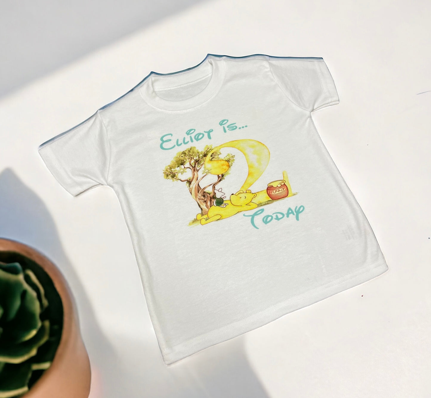 Winnie The Pooh Birthday T-Shirt